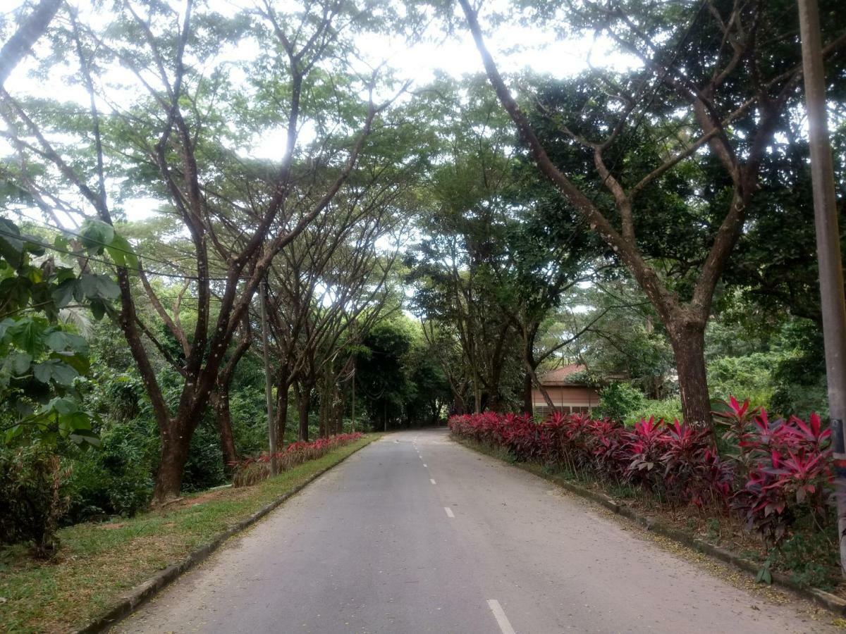 Janaview Taiping Hotel Eksteriør billede