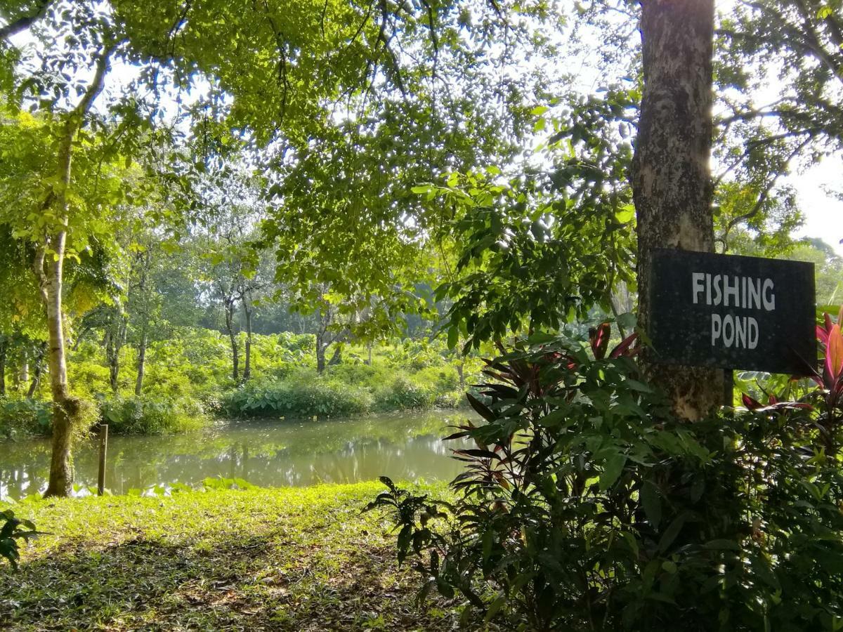 Janaview Taiping Hotel Eksteriør billede