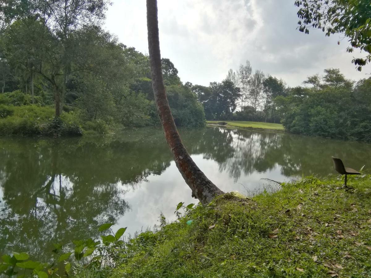 Janaview Taiping Hotel Eksteriør billede